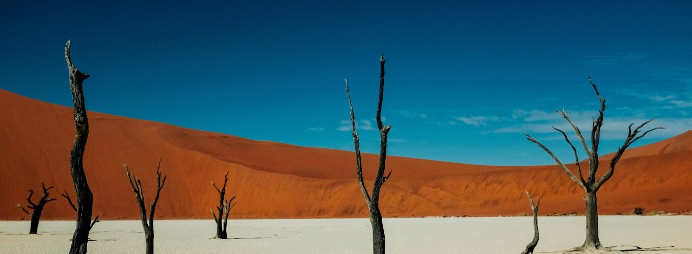 Packages 1358 x 500 (16)