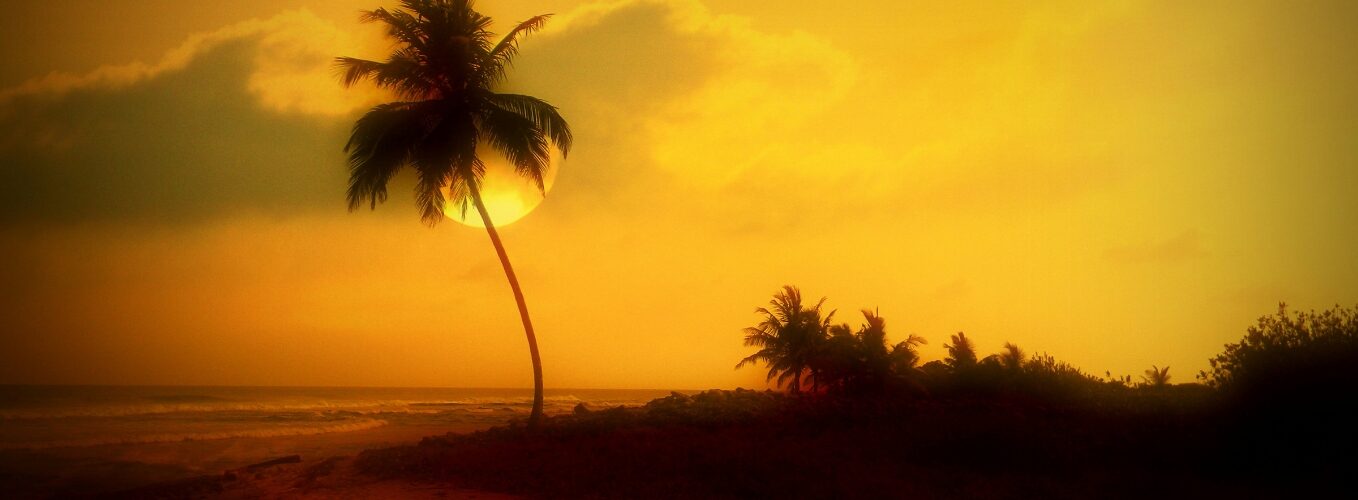 Lakshadweep 1358 x 500