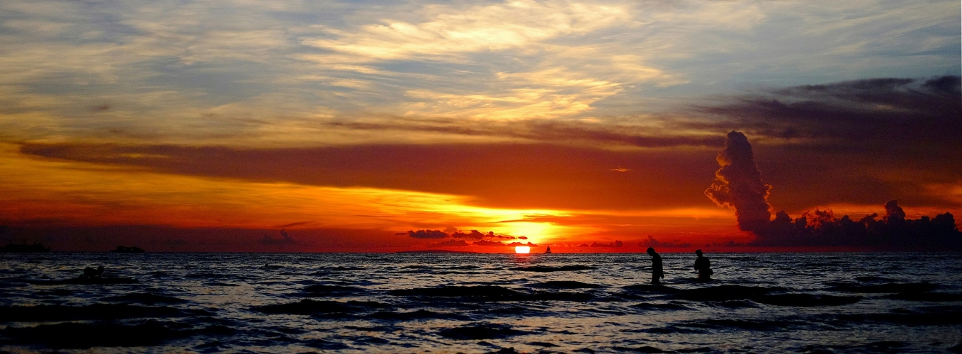 Packages 1358 x 500 (41)