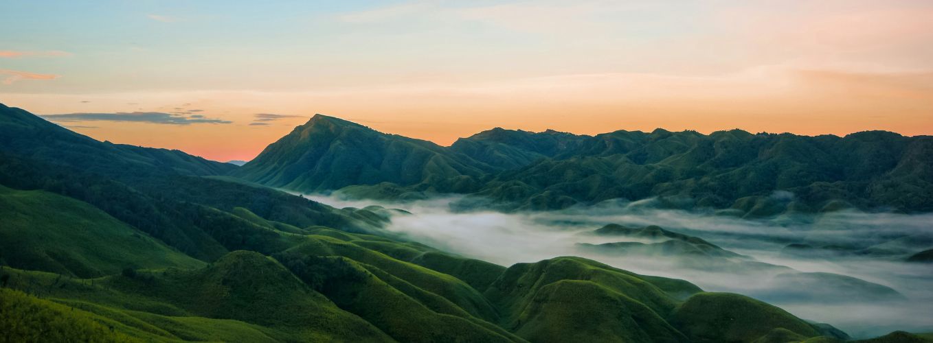 Packages 1358 x 500 (44)