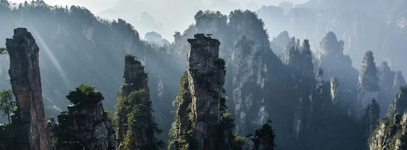 Packages 1358 x 500 (56)