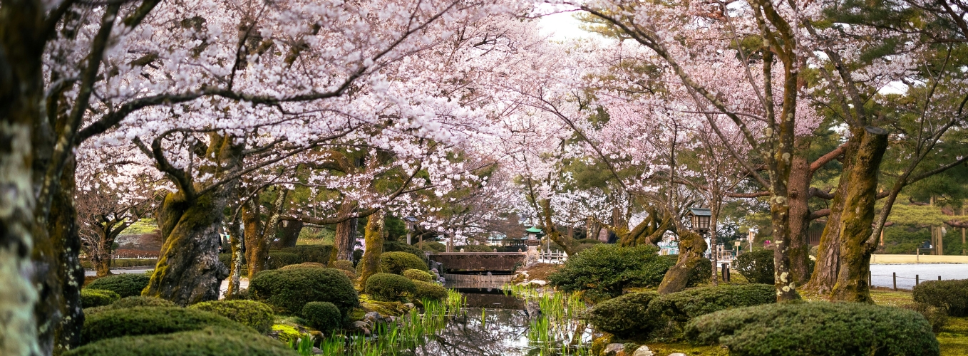 Packages 1358 x 500 (58)